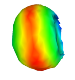 Active Shape Modeling