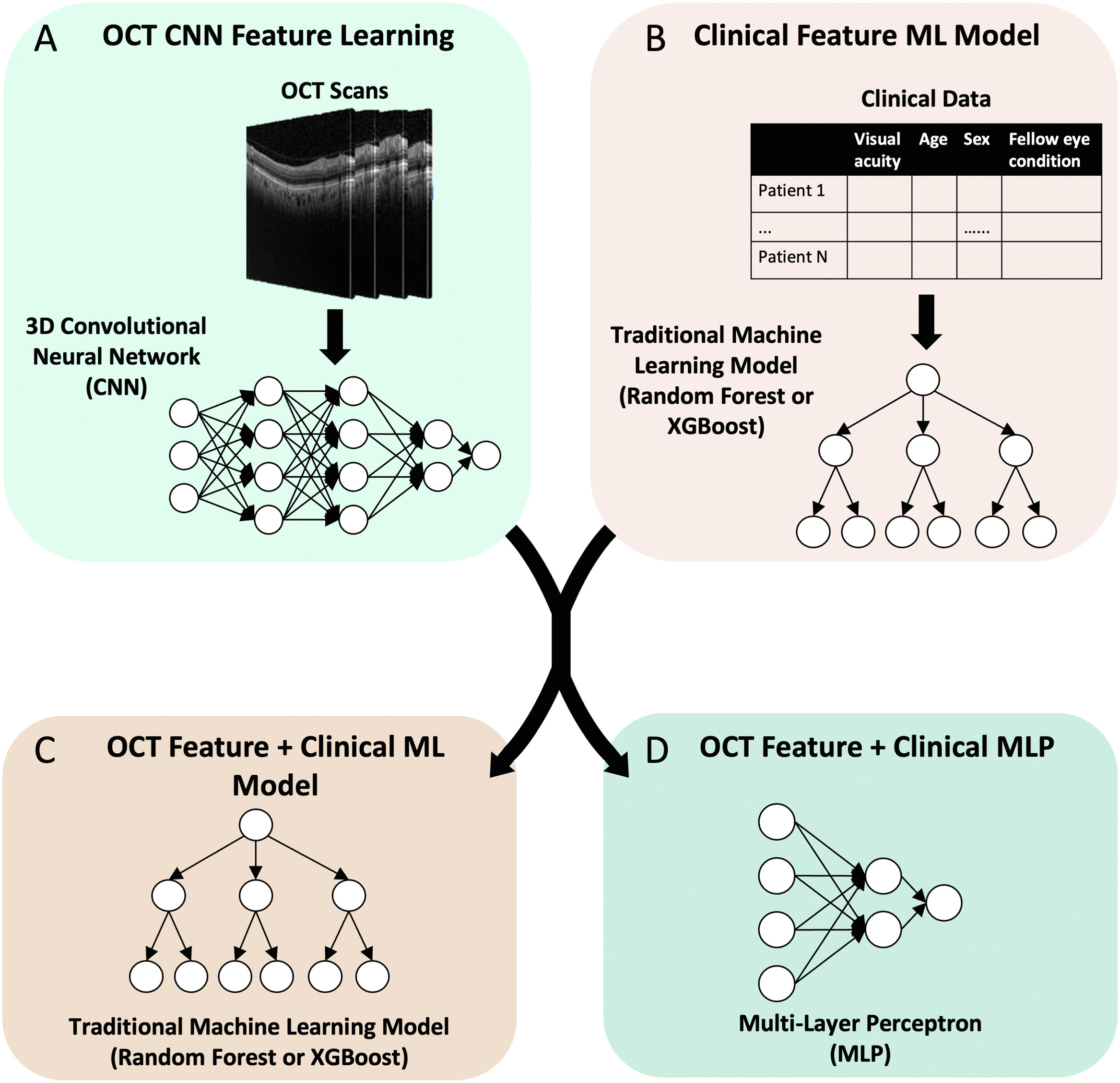 Multimodal Data in AMD